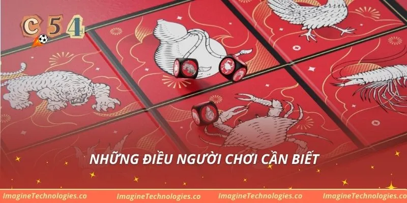Những điều người chơi cần biết