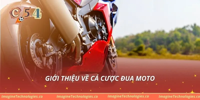 Giới thiệu về cá cược đua moto