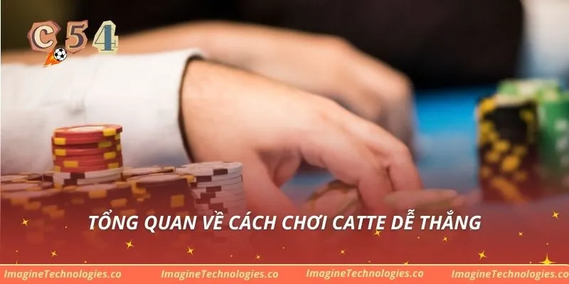 Tổng quan về cách chơi Catte dễ thắng