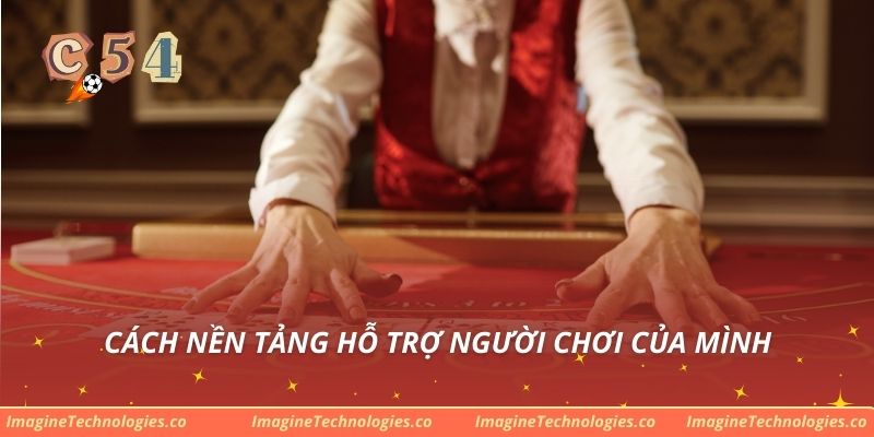 Cách nền tảng hỗ trợ người chơi của mình